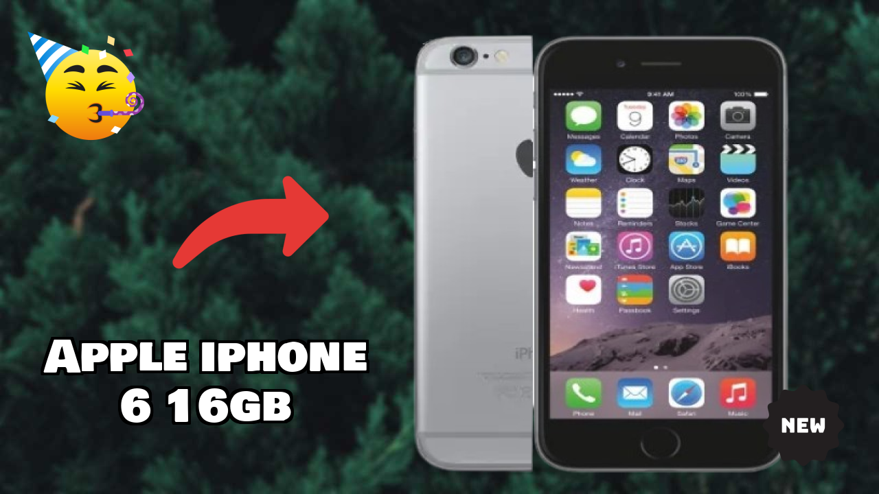 Apple IPhone 6 16GB Camera Test: 8 MP Rear Camera Sample Shots