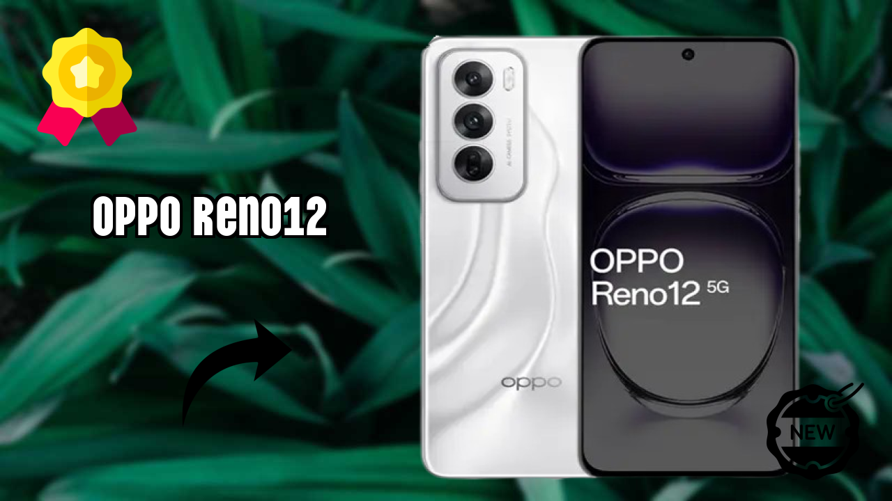 OPPO Reno12 Camera Quality: 50 MP + 8 MP + 2 MP Rear Camera Photo Review
